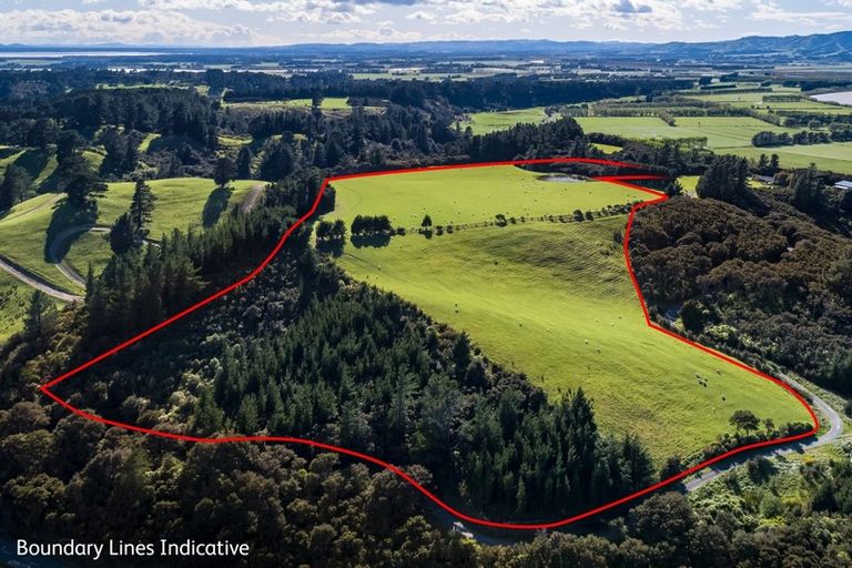 Photo of property in 2943a Western Lake Road, Western Lake, Featherston, 5773