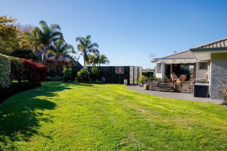 Photo of property in 293 Plummers Point Road, Whakamarama, Tauranga, 3172