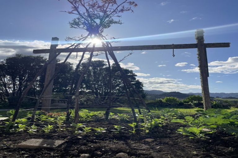 Photo of property in 1279 Leigh Road, Matakana, Warkworth, 0985