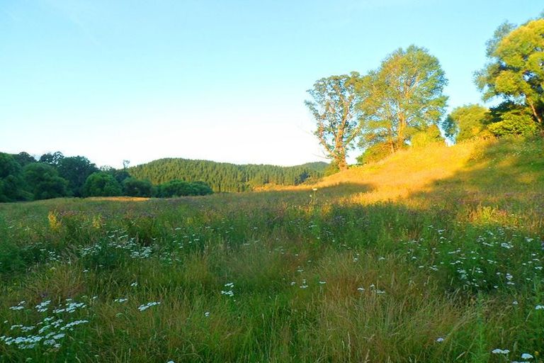 Photo of property in 46 Ruapapa Road, Frasertown, Wairoa, 4195