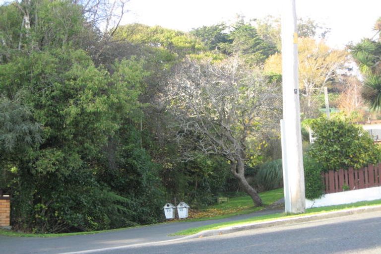 Photo of property in 45 Sunbury Street, Andersons Bay, Dunedin, 9013