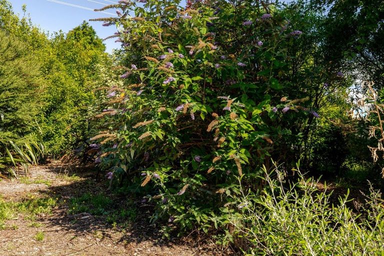 Photo of property in 77 High Street, Eketahuna, 4900