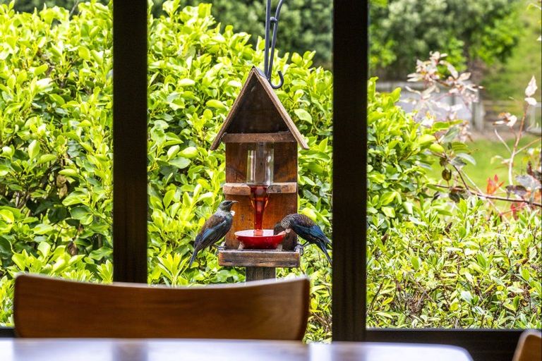 Photo of property in 72 Rochfort Road, Havelock North, 4130