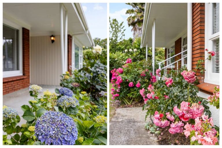 Photo of property in 2 Golden Place, Fairfield, Hamilton, 3214