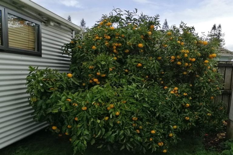 Photo of property in 62a Norrie Street, Bader, Hamilton, 3206