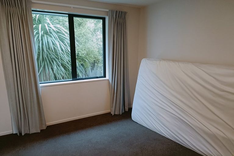 Photo of property in 47 Cranford Street, St Albans, Christchurch, 8014