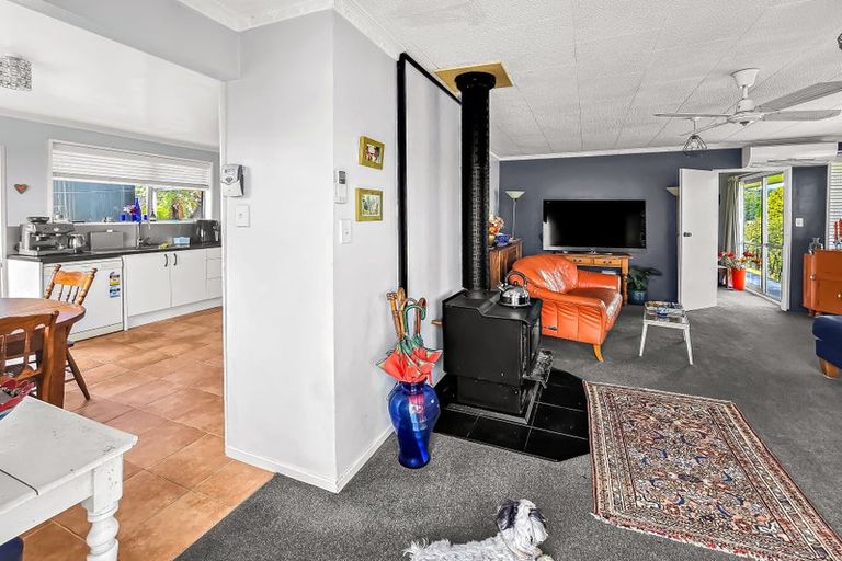 Photo of property in 7 Crampton Road, Reefton, 7830