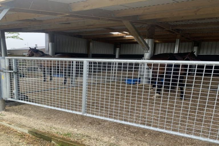 Photo of property in 157 Norfolk Road, Norfolk, Inglewood, 4388