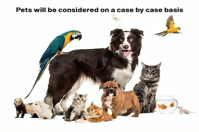 Photo of property in 10b Churchill Terrace, Waiuku, 2123