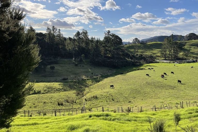 Photo of property in 158 Wainui Road, Kaeo, 0478