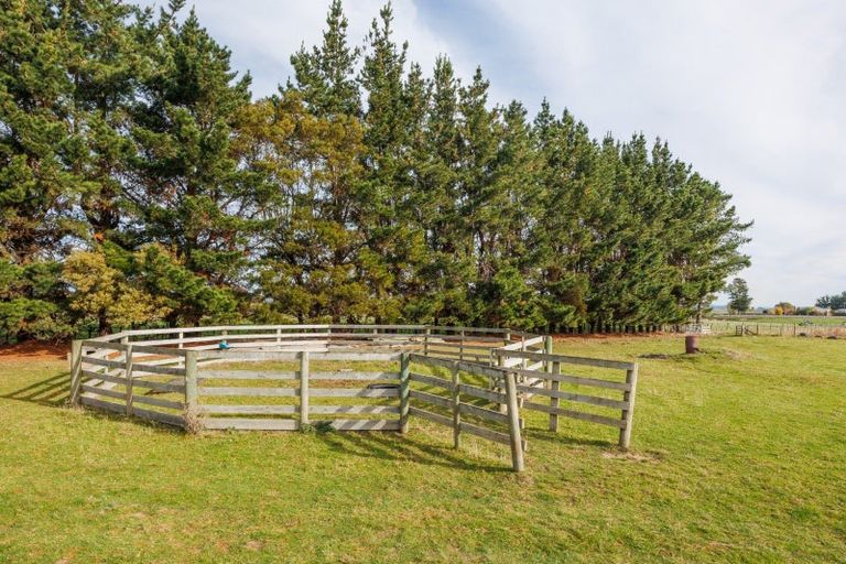 Photo of property in 1867 Makino Road, Halcombe, Feilding, 4779