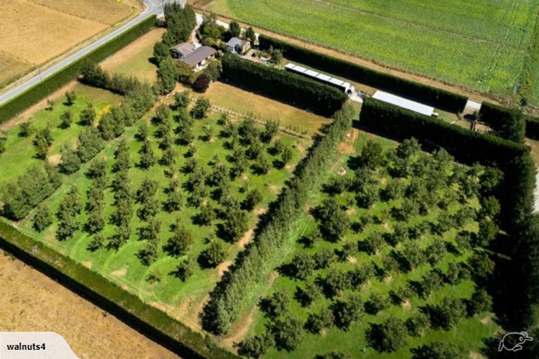 Photo of property in 556 Steffens Road, Starvation Hill, Oxford, 7495