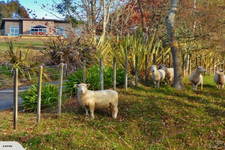 Photo of property in 197 Seaton Valley Road, Upper Moutere, 7173