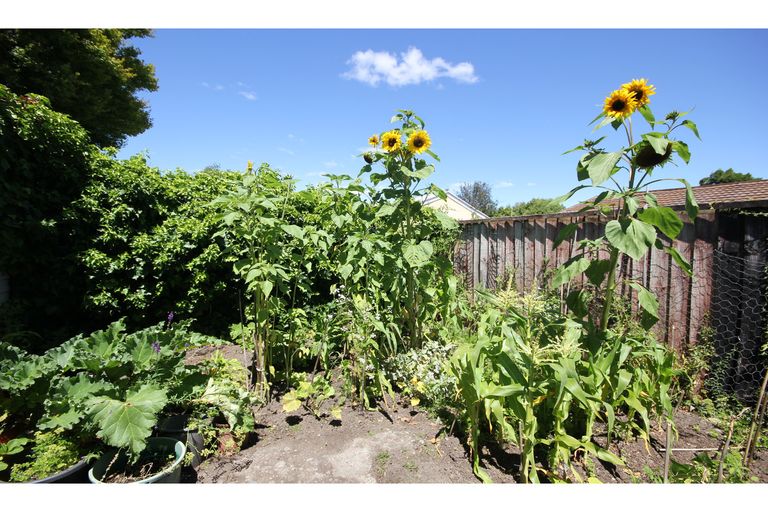 Photo of property in 115 Barrington Street, Somerfield, Christchurch, 8024