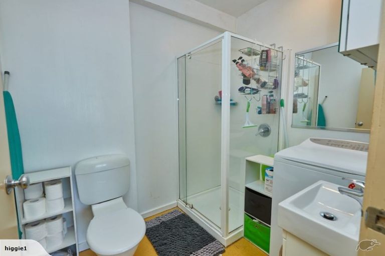 Photo of property in Te Awhina Apartments, 1/22 Sussex Street, Mount Cook, Wellington, 6021