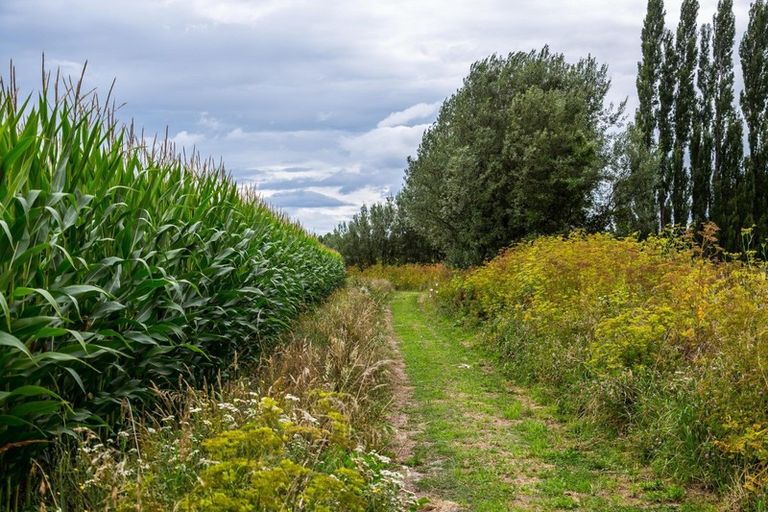 Photo of property in 2520 State Highway 2, Ahikouka, Greytown, 5794