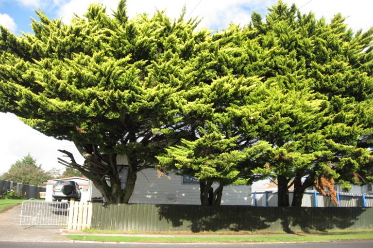 Photo of property in 6 Carey Place, Otara, Auckland, 2023
