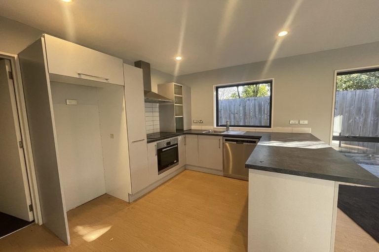 Photo of property in 117b Nursery Road, Phillipstown, Christchurch, 8011