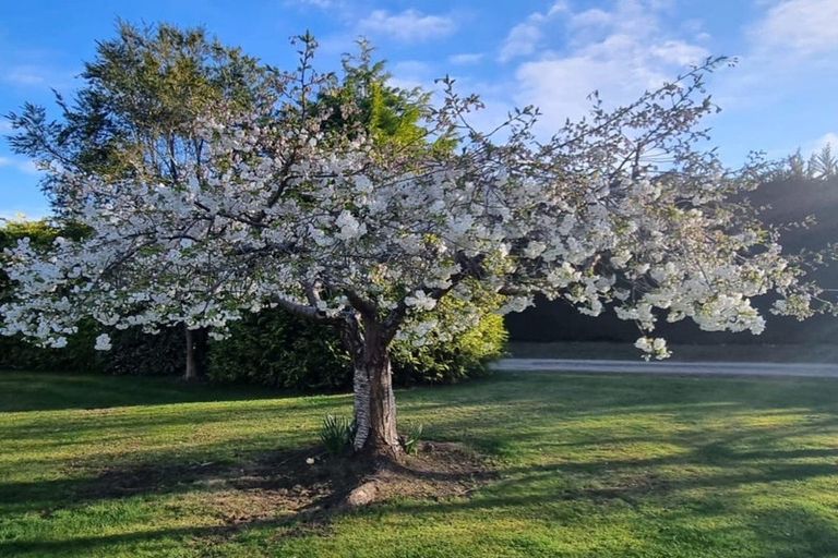 Photo of property in 210 Ardgowan Road, Ardgowan, Oamaru, 9492