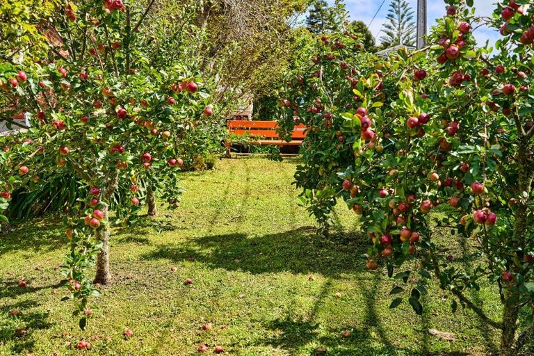 Photo of property in 19 Palm Grove, Belmont, Lower Hutt, 5010