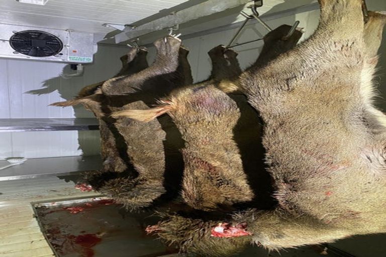 Photo of property in 1 Takapari Road, Pohangina, Ashhurst, 4884