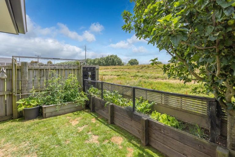 Photo of property in 8 Sargent Place, Otorohanga, 3900