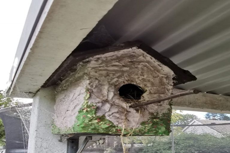 Photo of property in 62a Norrie Street, Bader, Hamilton, 3206