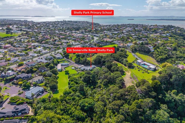 Photo of property in 56 Somerville Road, Shelly Park, Auckland, 2014