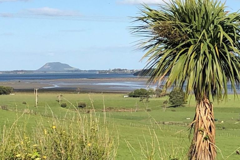 Photo of property in 1 Banks Drive, Aongatete, Katikati, 3181