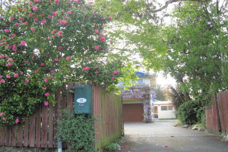 Photo of property in 12 Main North Road, Woodend, 7610