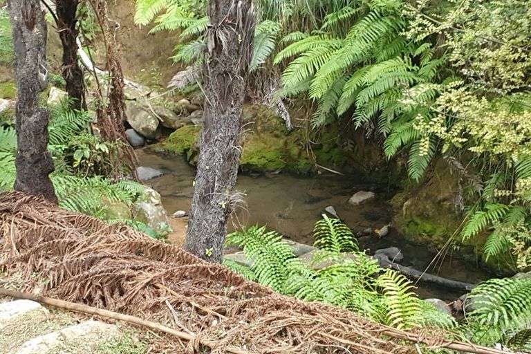 Photo of property in 7 Otuturu Creek Road, Ruamahunga, Thames, 3575