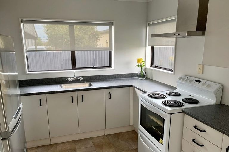 Photo of property in 610a Buller Street, Akina, Hastings, 4122