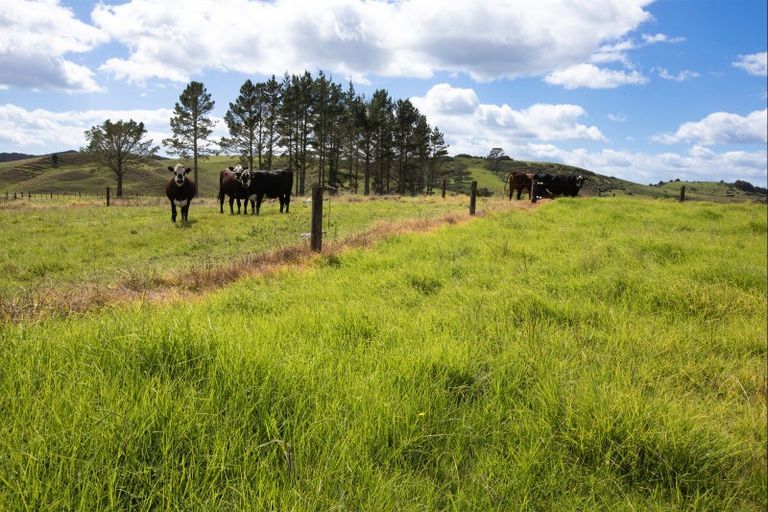 Photo of property in 264 Okokako Road, Waimate North, Kerikeri, 0293