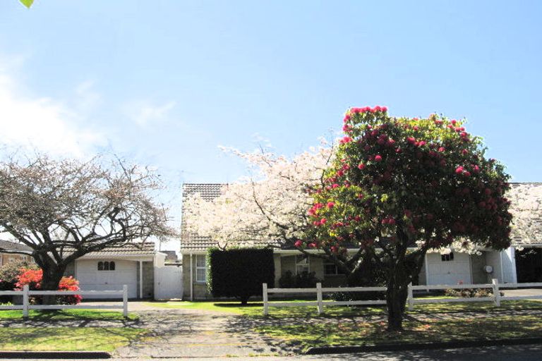 Photo of property in 3b Sophia Street, Glenholme, Rotorua, 3010