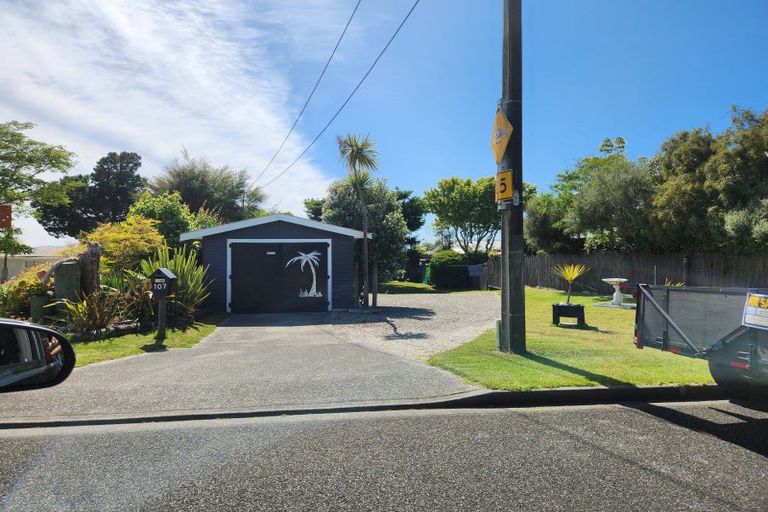 Photo of property in 107 Trewavas Street, Motueka, 7120