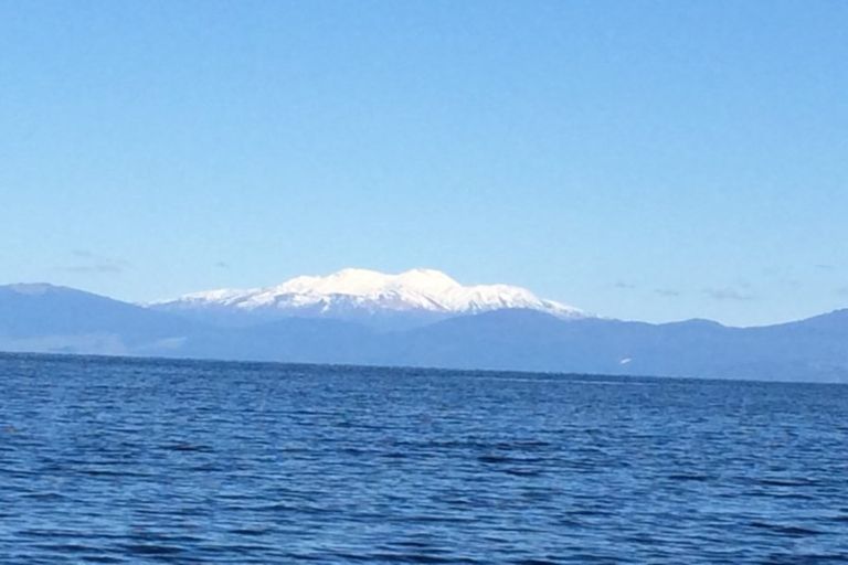 Photo of property in 15 Sparrowhawk Way, Kinloch, Taupo, 3377