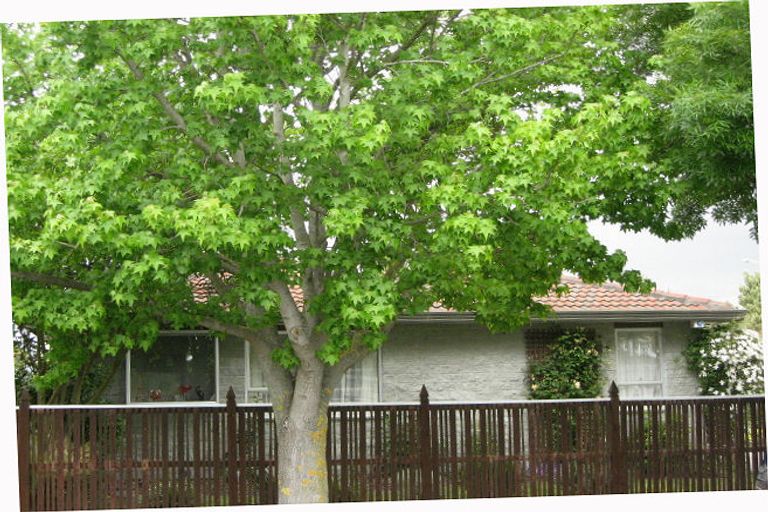 Photo of property in 28 Te Maru Place, Redwood, Christchurch, 8051