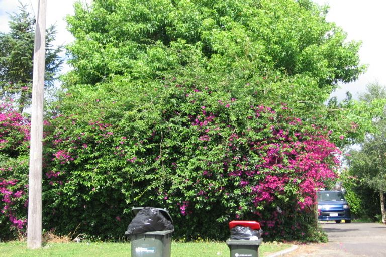 Photo of property in 45 Arran Street, Avondale, Auckland, 0600