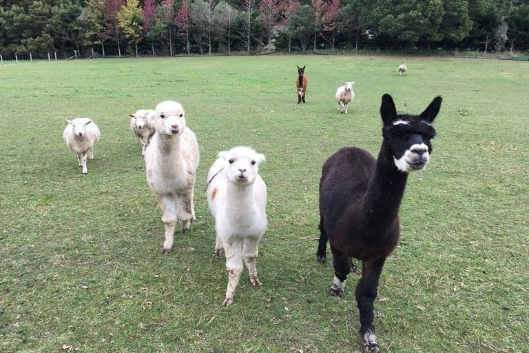 Photo of property in 69 Lee Valley Road, Wairoa Valley, Brightwater, 7091