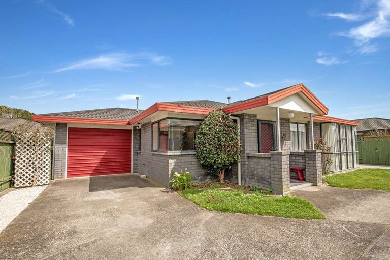 Photo of property in 625a Ferguson Street, Terrace End, Palmerston North, 4410