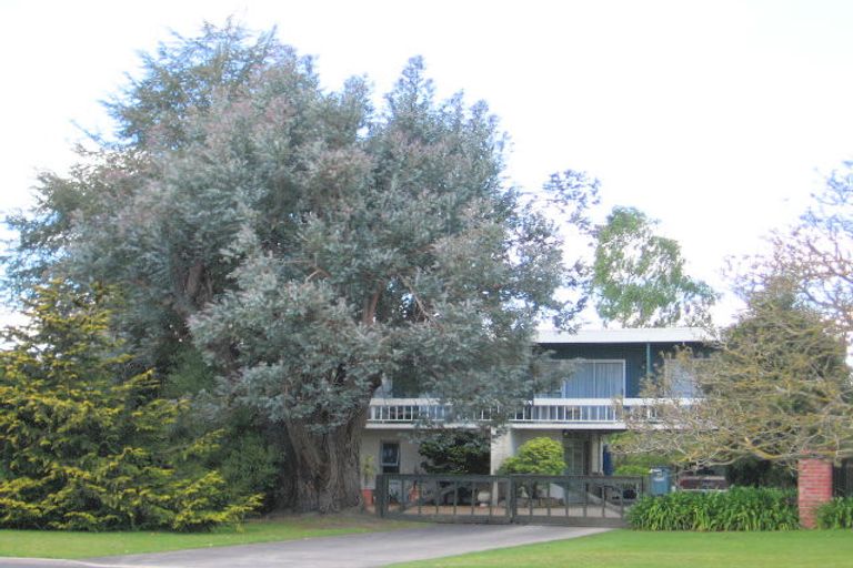 Photo of property in 62 Burwood Road, Matamata, 3400