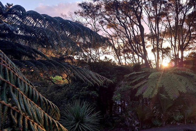 Photo of property in 55 Sylvan Valley Avenue, Titirangi, Auckland, 0604