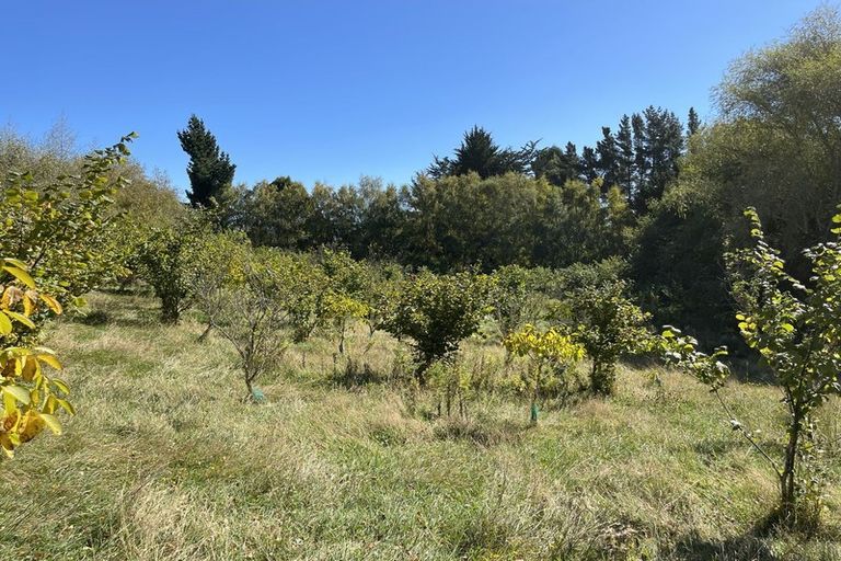 Photo of property in 37 Knoll Street, Milton, 9292