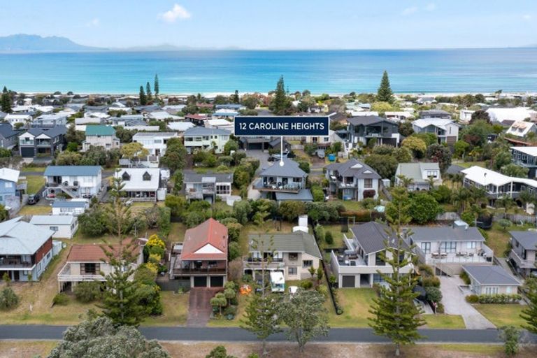 Photo of property in 12 Caroline Heights, Omaha, Warkworth, 0986