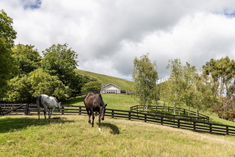 Photo of property in 134 Cohrs Road, Poukawa, Hastings, 4178