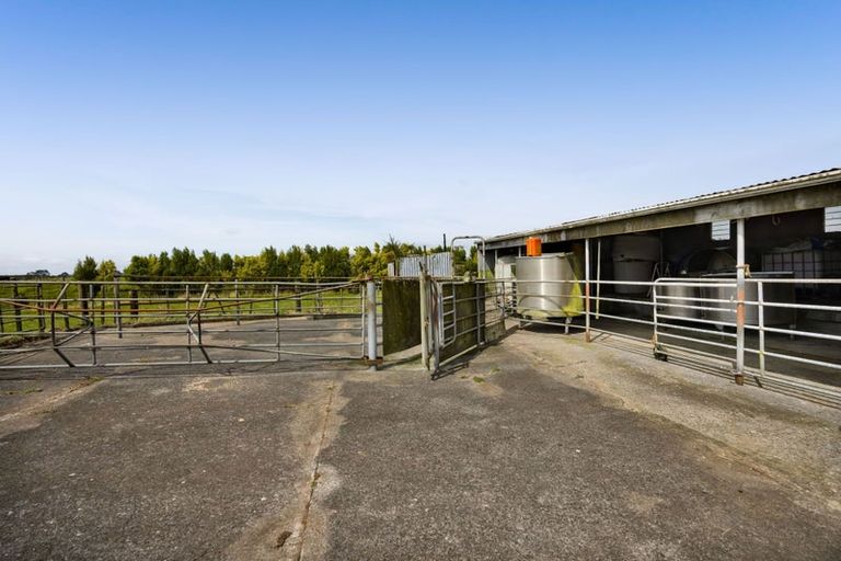 Photo of property in 124 Kahouri Road, Midhirst, Stratford, 4394