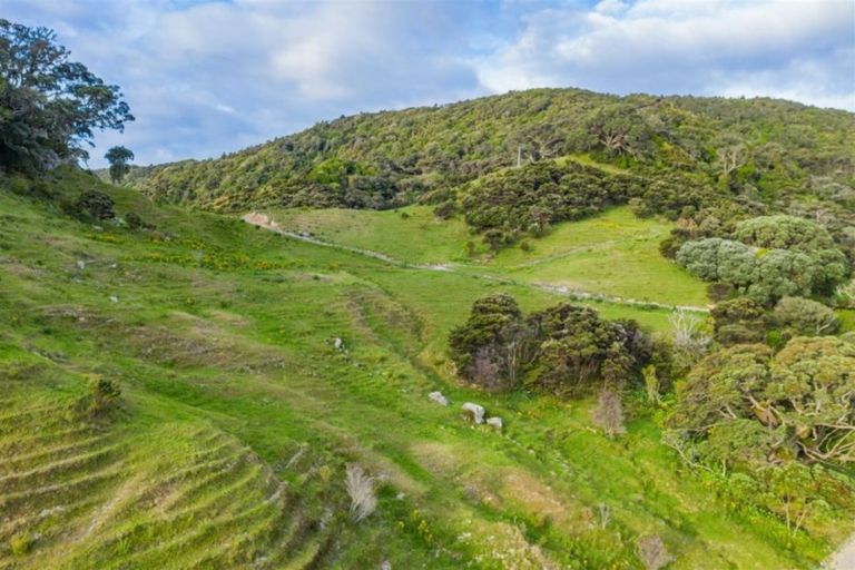 Photo of property in 2509 Whangarei Heads Road, Whangarei Heads, 0174