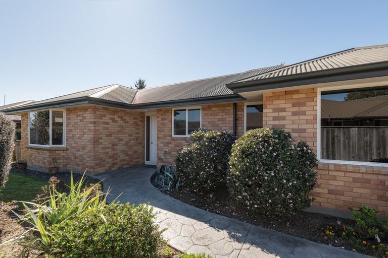 Photo of property in 7a Astelia Place, Richmond, 7020