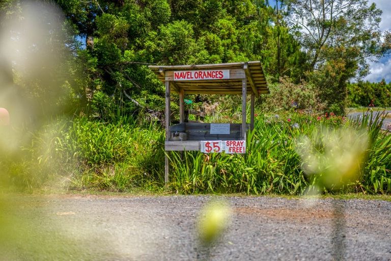 Photo of property in 303 Puketotara Road, Waipapa, Kerikeri, 0295