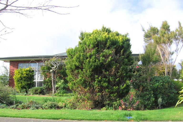 Photo of property in 19 Kennedy Avenue, Feilding, 4702